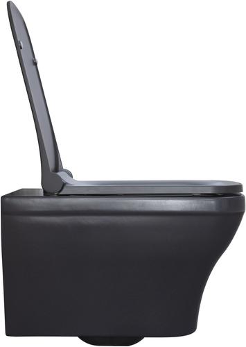 картинка Чаша подвесного унитаза Allen Brau Infinity 4.21011.AN антрацит картинка Чаша подвесного унитаза Allen Brau Infinity 4.21011.AN антрацит