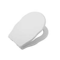 Крышка-сиденье BelBagno BOHEME BB115SC Крышка-сиденье BelBagno BOHEME BB115SC