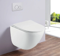 Унитаз подвесной LOTUS (White) Унитаз подвесной LOTUS (White)