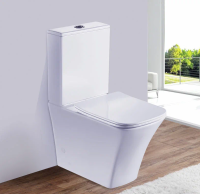 Унитаз напольный CRISAN (White) Унитаз напольный CRISAN (White)